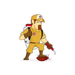 bed bug control in gurgaon