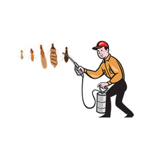 Termite Pest Control in Ghaziabad