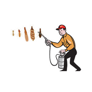 Termite Pest Control in Delhi