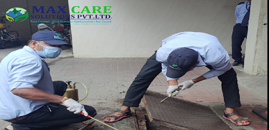 Max Care Solution Pvt Ltd