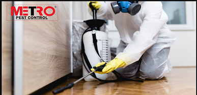 Metro Pest Control Services