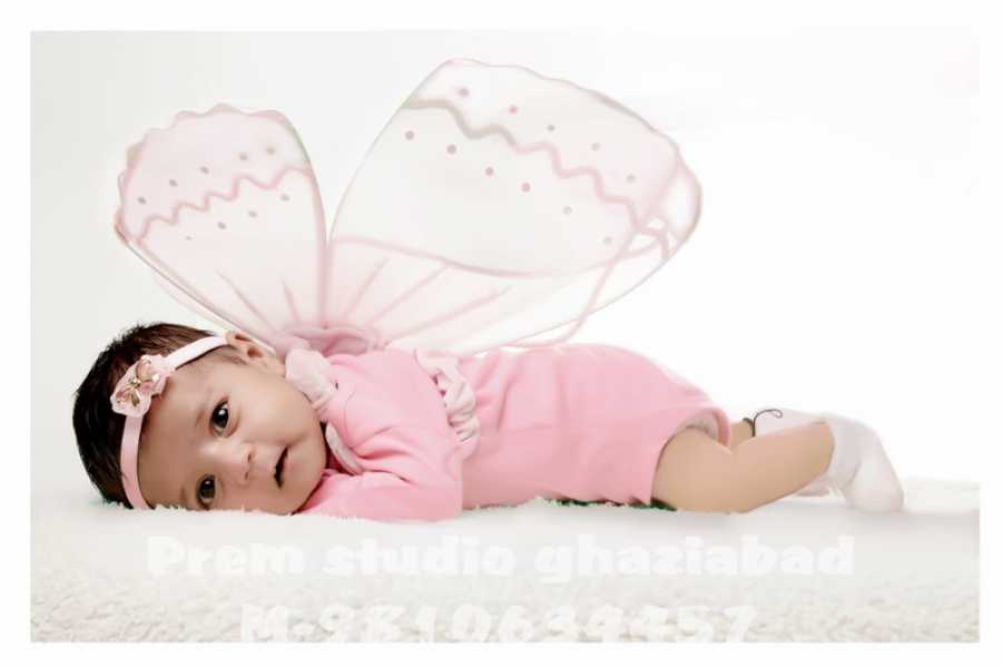 Gallery Images