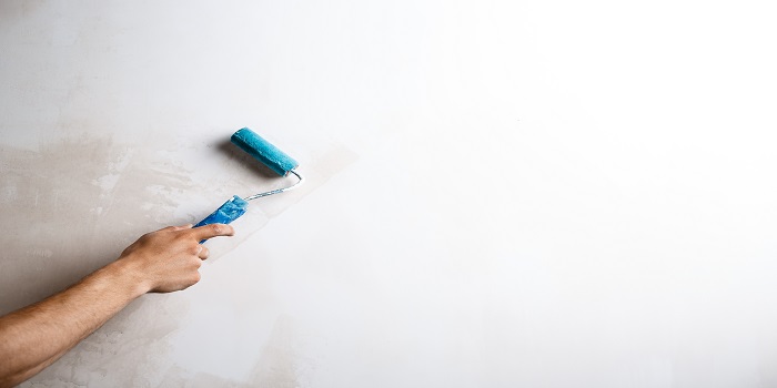 Blue Heaven Painting Contractor