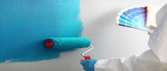 Paint My Walls