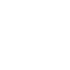 Auditing Services