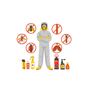 Pest Control  in Ahmedabad