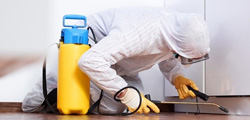 Pest Control